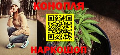 гидра Рыбинск