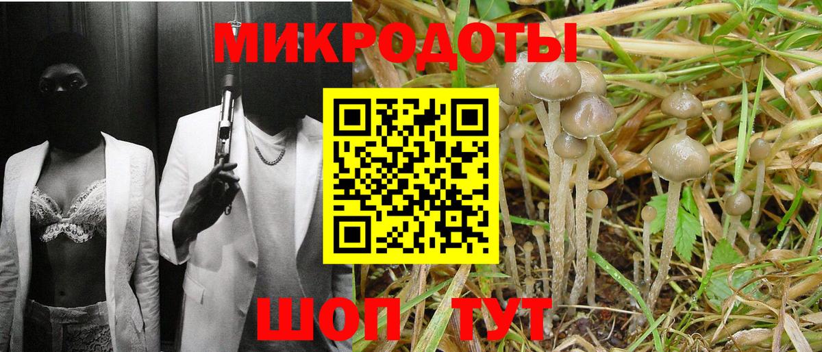 Псилоцибиновые грибы прущие грибы Алатырь