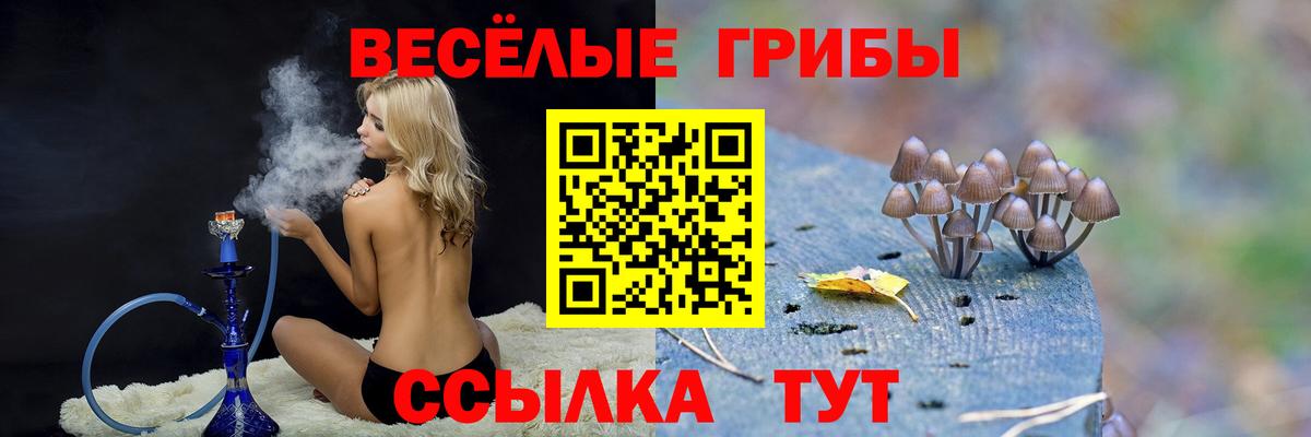 купить  цена  Галлюциногенные грибы Psilocybine cubensis  Вход с VPN  Алатырь 