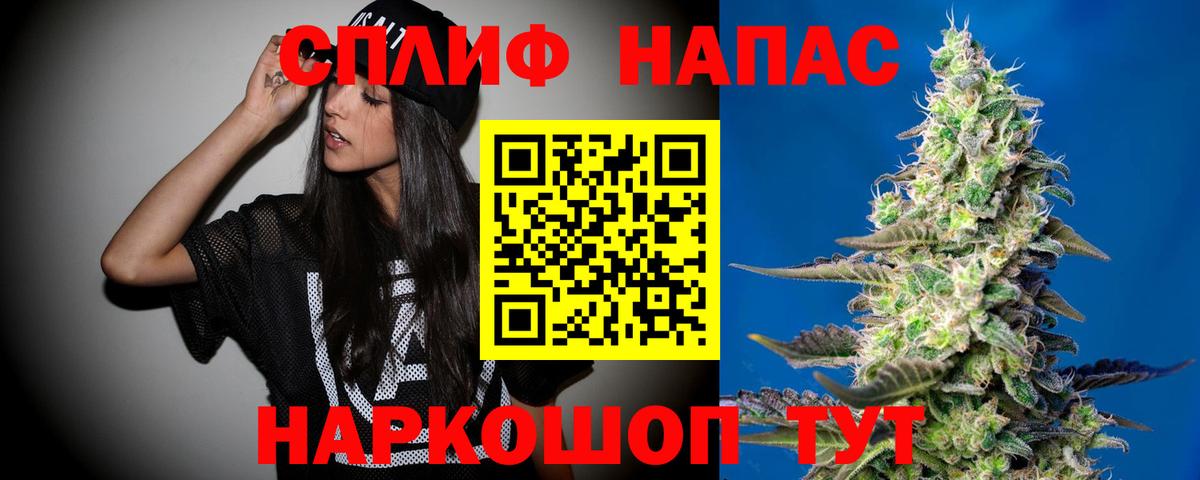 Каннабис гибрид Алатырь